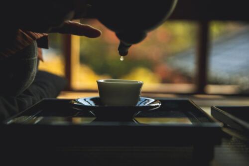 八女茶 日本茶 緑茶 玉露 について 日本一 飲み方 健康 出来るまで 八女 福岡県 お茶 伝統本玉露 お茶種類 写真 tea japanese green yame cha about 348