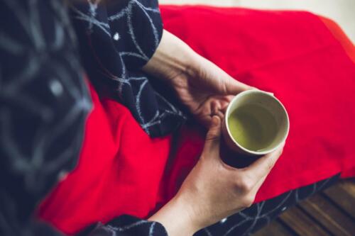 八女茶 日本茶 緑茶 玉露 について 日本一 飲み方 健康 出来るまで 八女 福岡県 お茶 伝統本玉露 お茶種類 写真 tea japanese green yame cha about 424